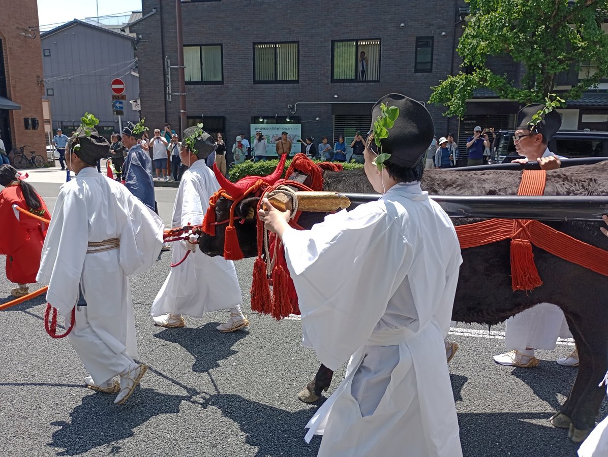 Aoi Matsuri - Festival de la Rose Trémière, Japon