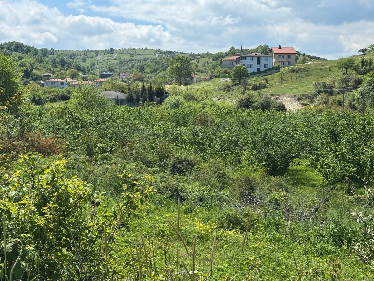 North Turkey hill village near Agva, Türkiye