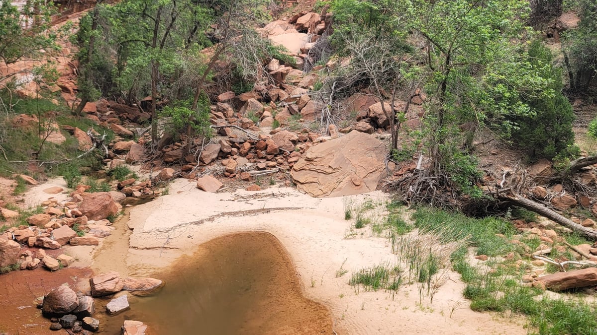 Emerald pool trail, United States