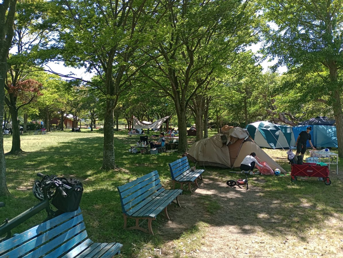 Lake Biwa free camping, Japan