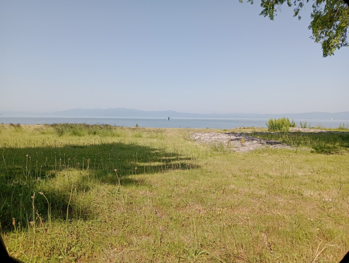Vista mattutina dalla tenda, Giappone