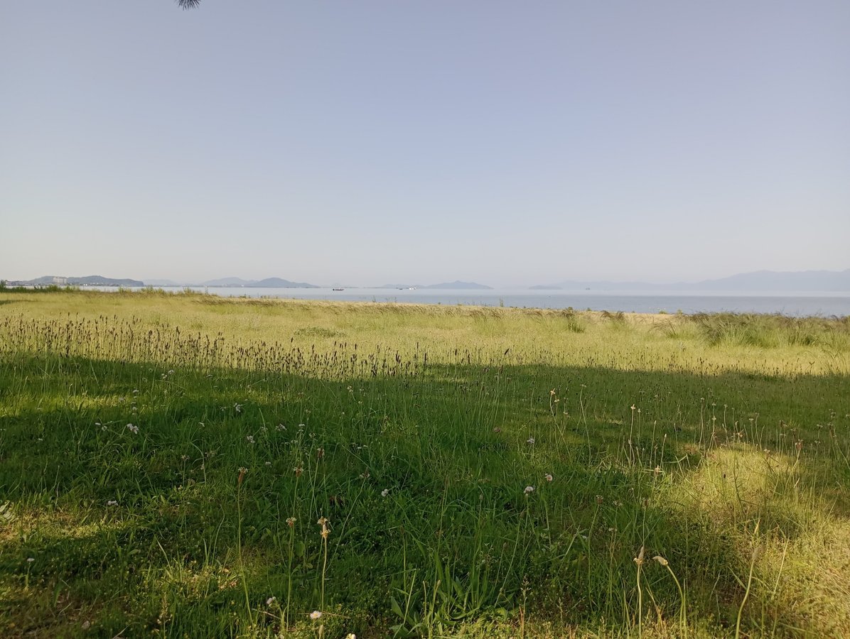 Vista mattutina dalla tenda, Giappone