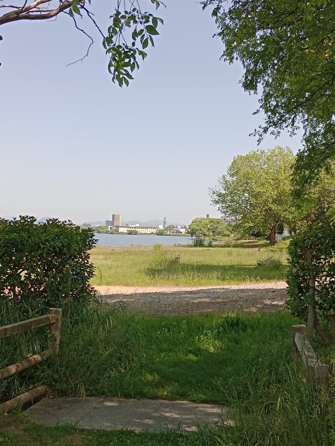 Vista mattutina dalla tenda, Giappone