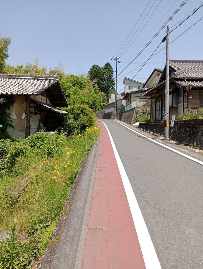 Much nicer than the main road!, Japan