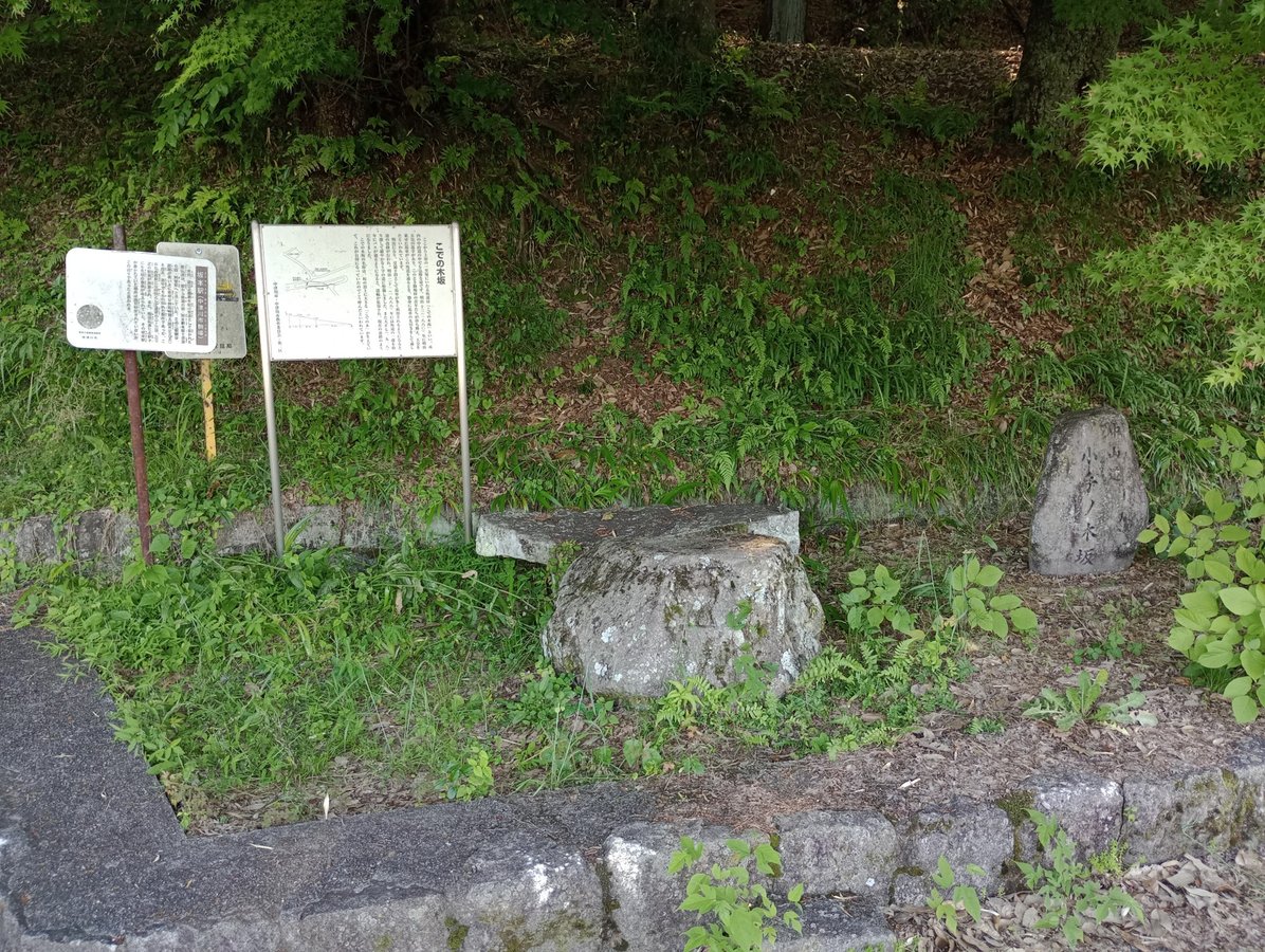 19 May 2026 - 16:21, Japan