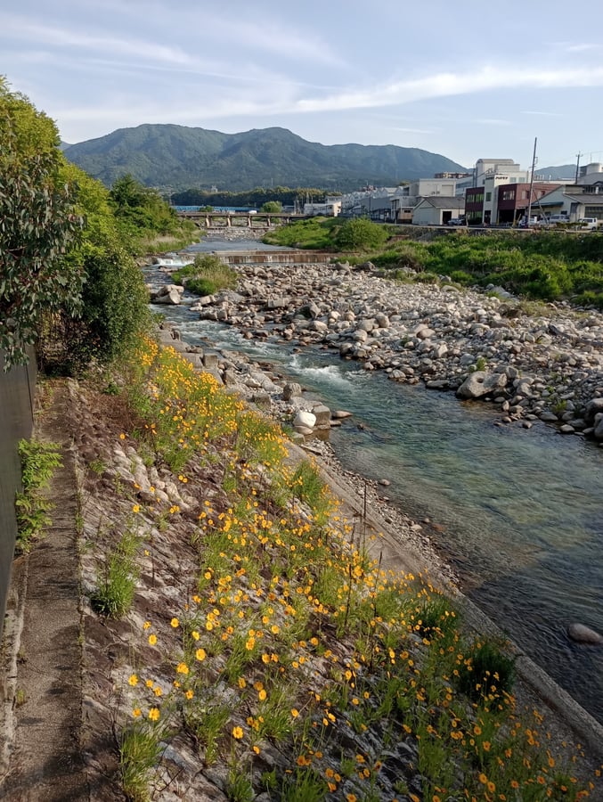 19 May 2026 - 16:41, Japan