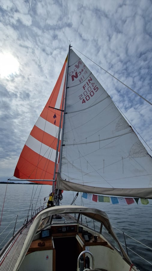 Learning about the spinnaker