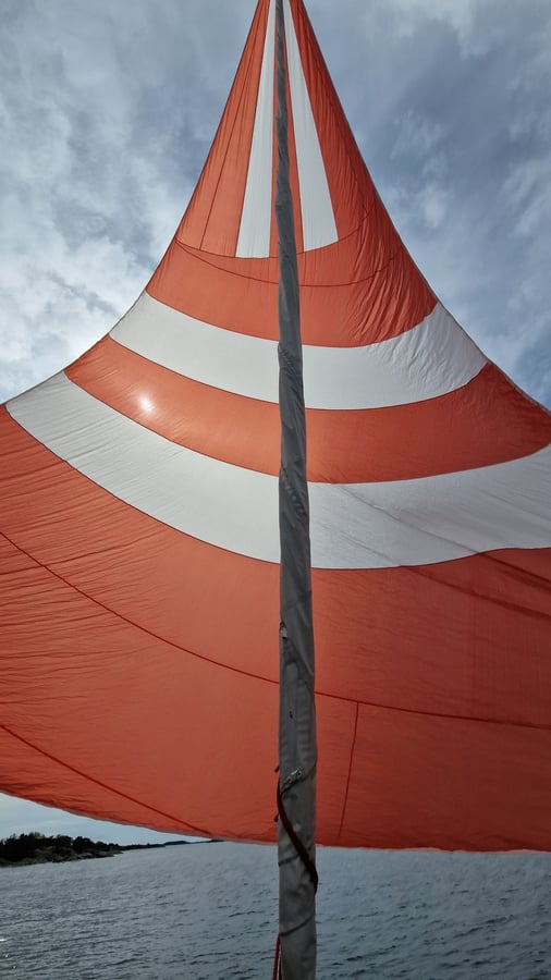 Learning about the spinnaker