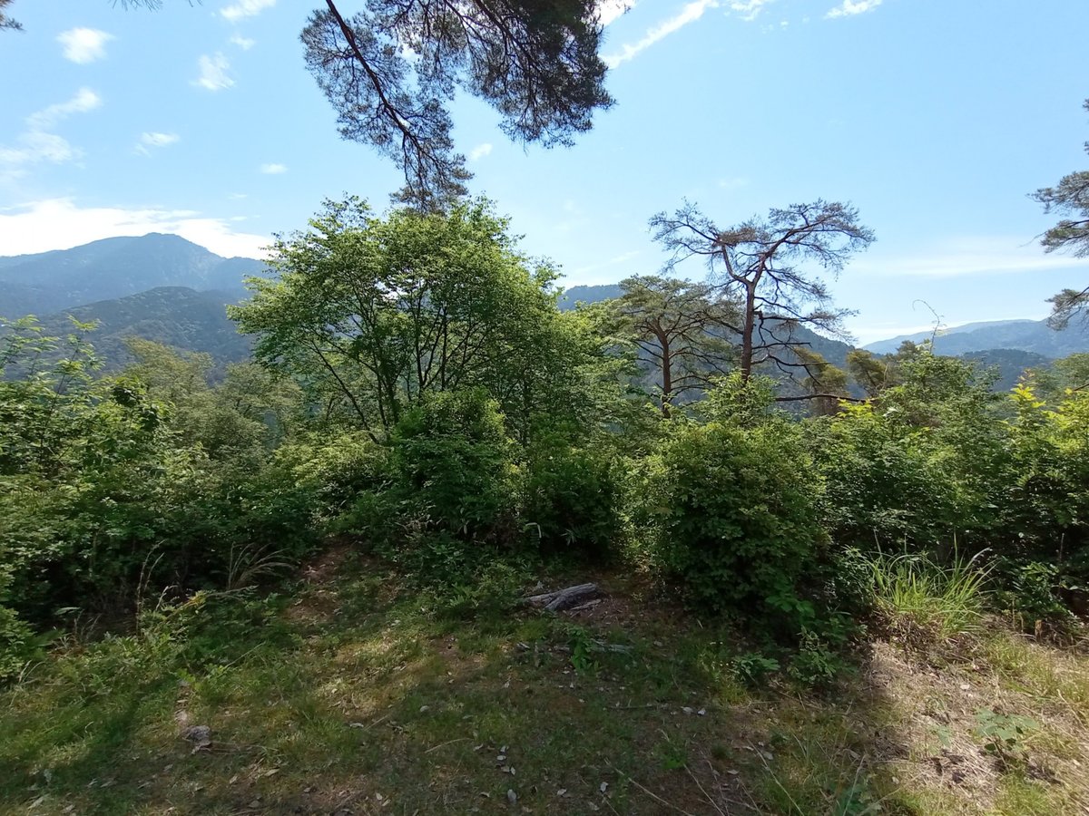 Panorami dall'ex castello di Tsumagojo, Giappone