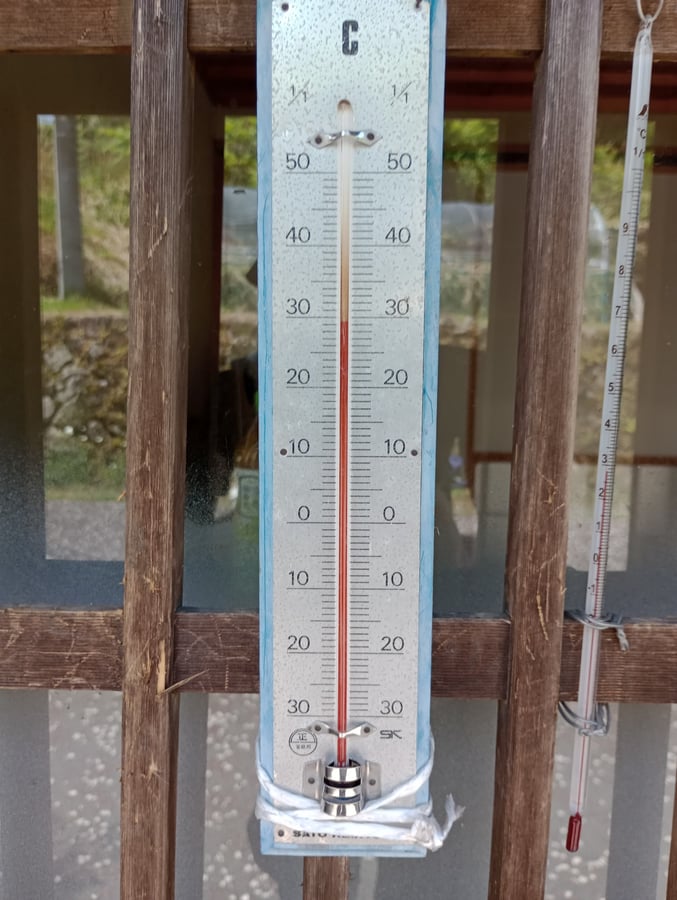 Caldo!, Giappone