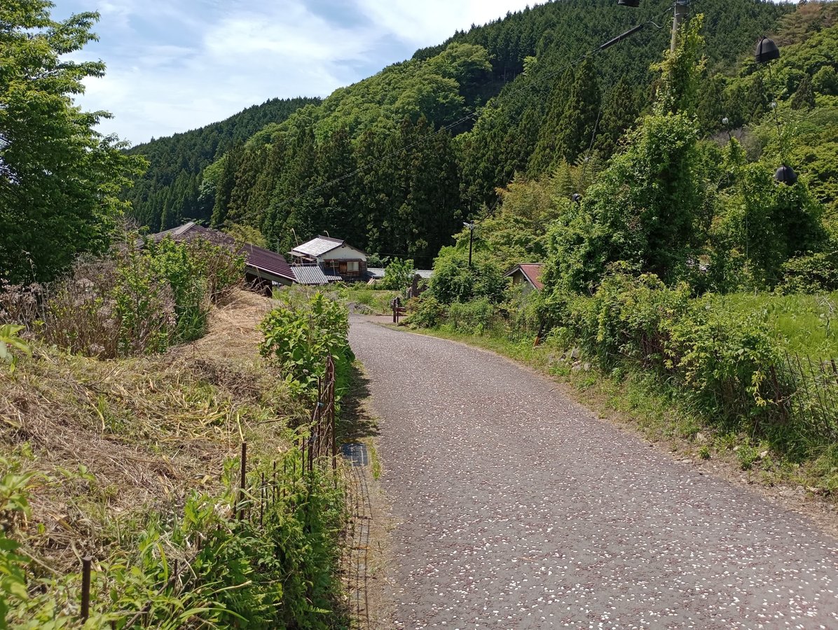 Periferia di Magome-juku, Giappone