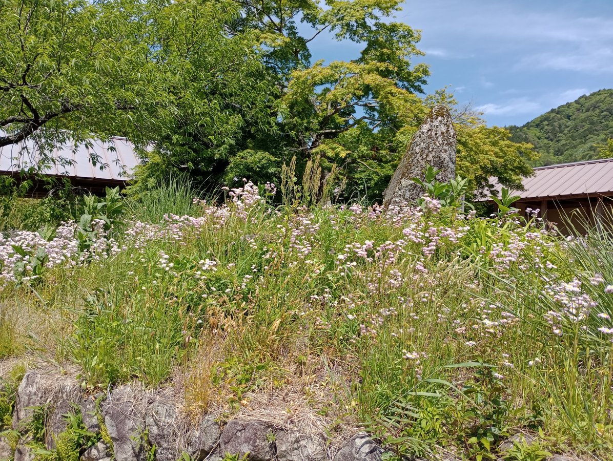 Periferia di Magome-juku, Giappone