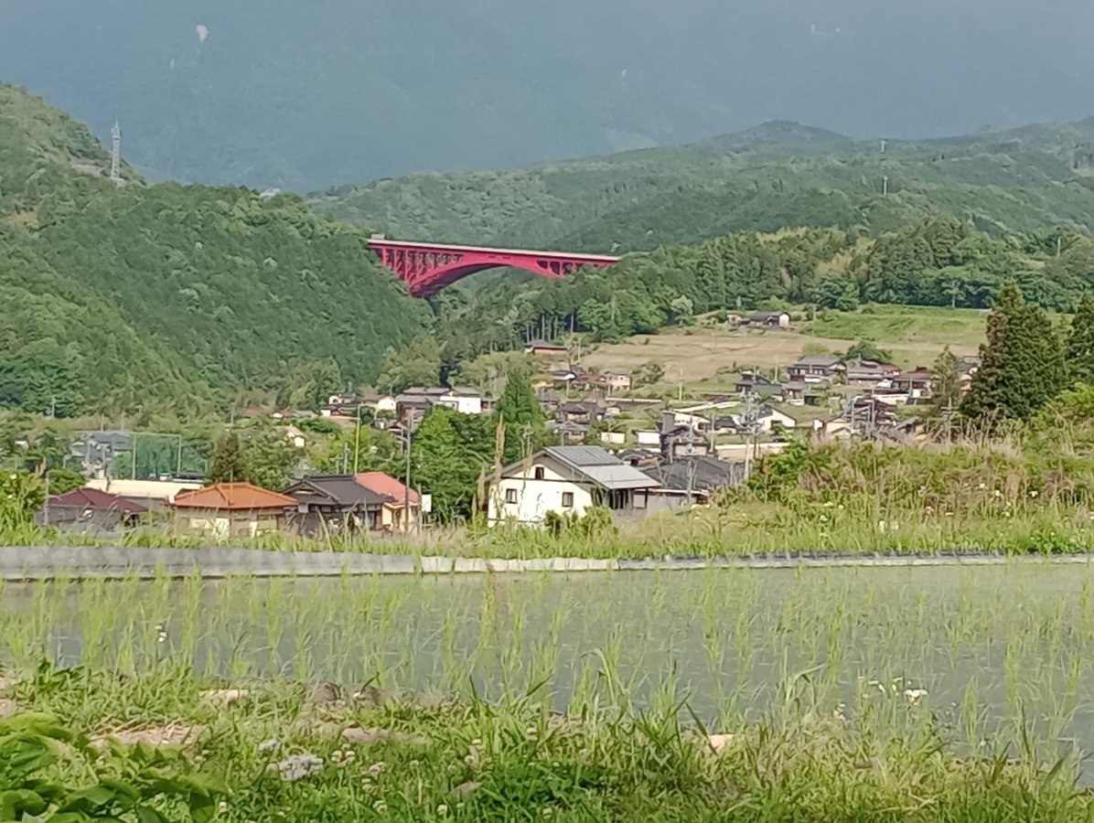 20 maggio 2026 - 15:33, Giappone