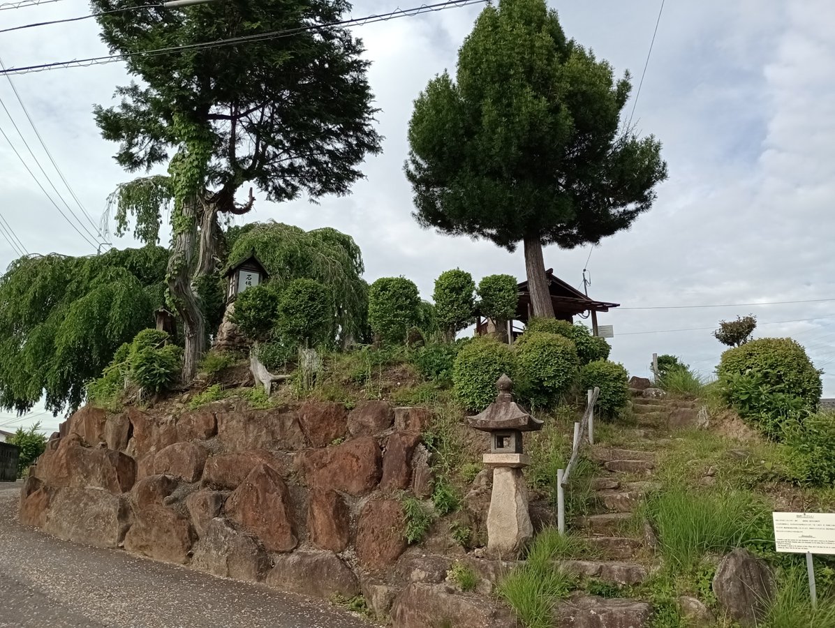 20 maggio 2026 - 16:57, Giappone