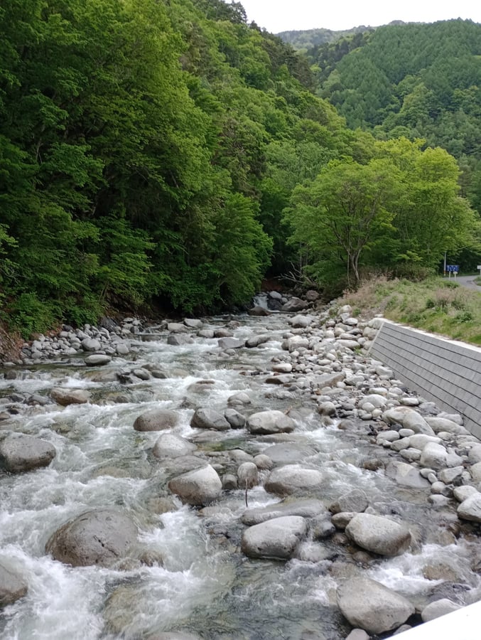 22 maggio 2026 - 17:02, Giappone