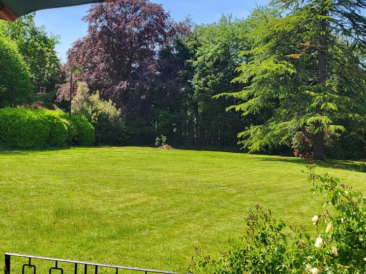 22 May 2026 - 13:45, Engeland