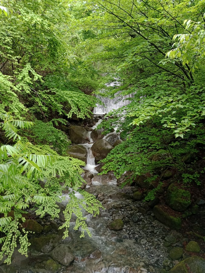 Ich mache heute nicht die gesamte Wanderung, aber..., Japan