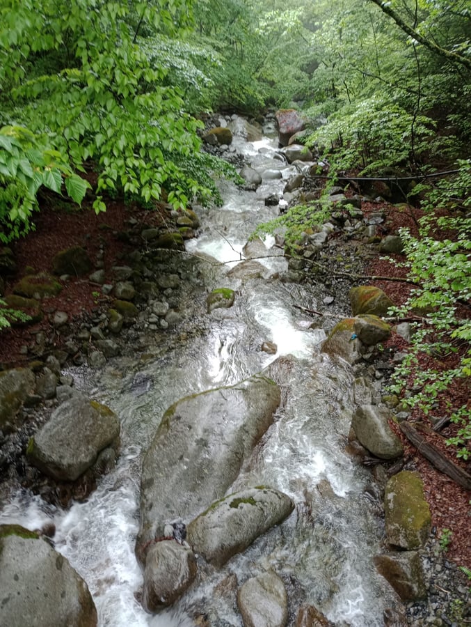 Ich mache heute nicht die gesamte Wanderung, aber..., Japan