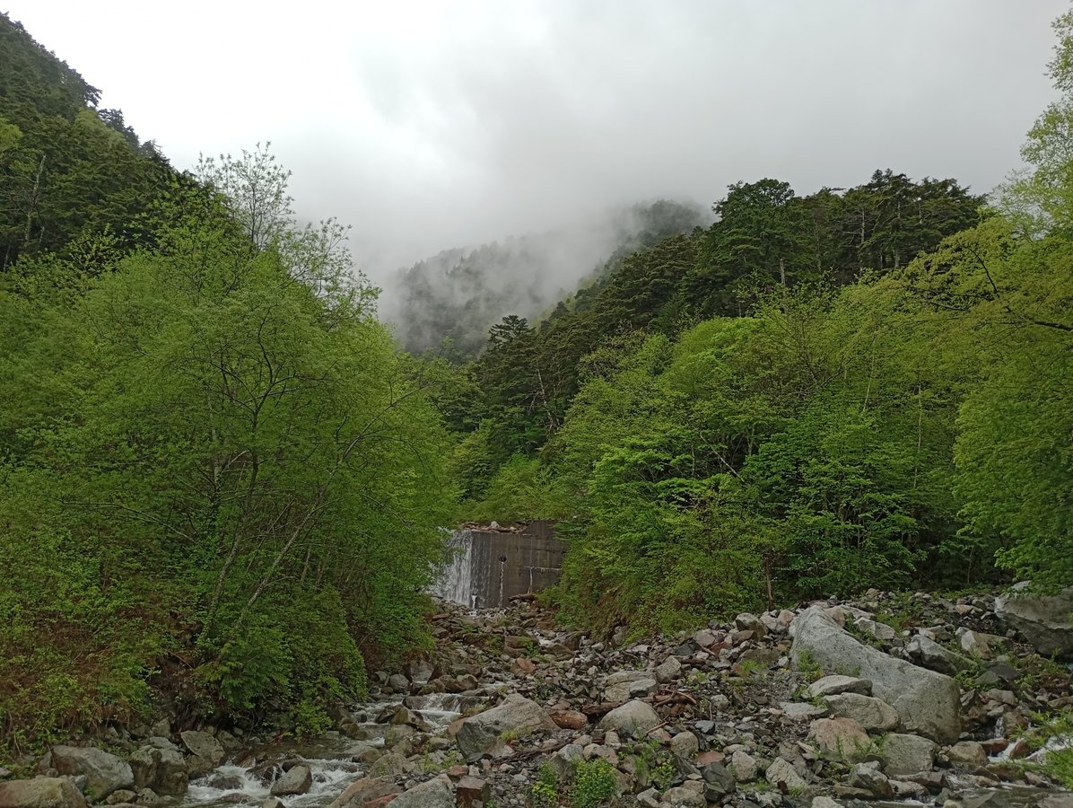 Ford, Japan