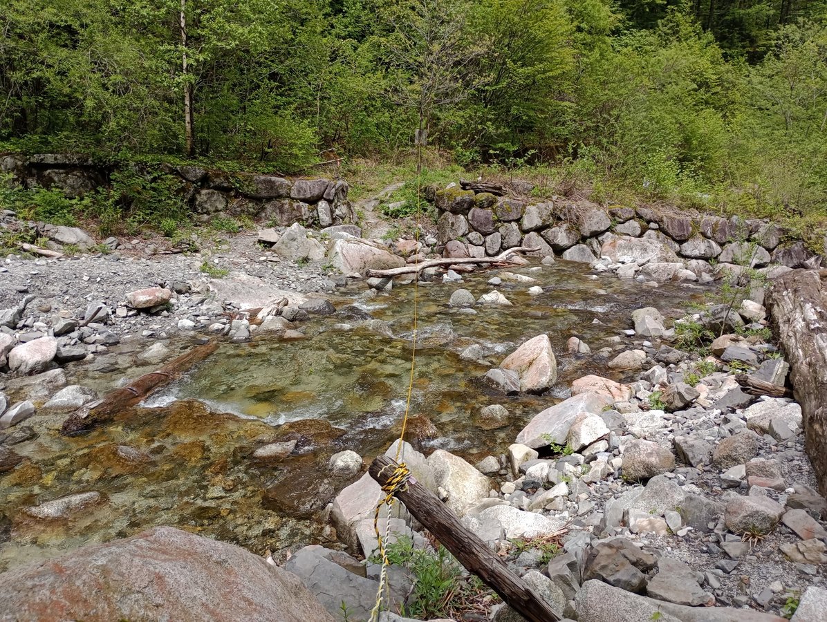 Ford, Japan