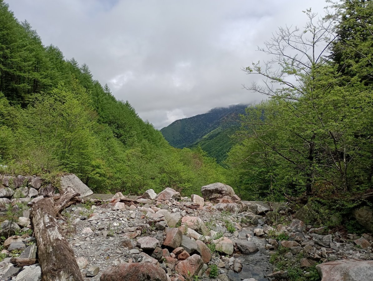 Ford, Japan