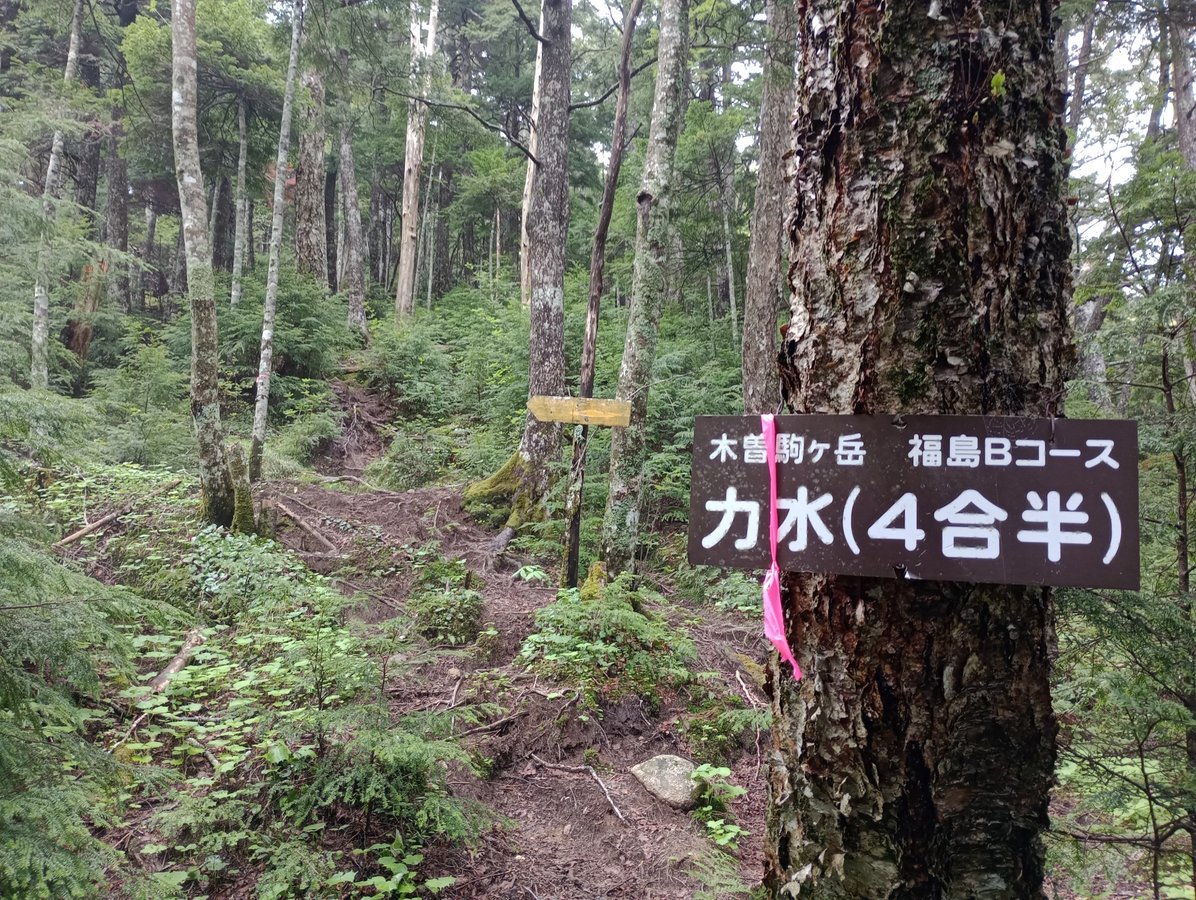 24. Mai 2026 - 10:58 Uhr, Japan