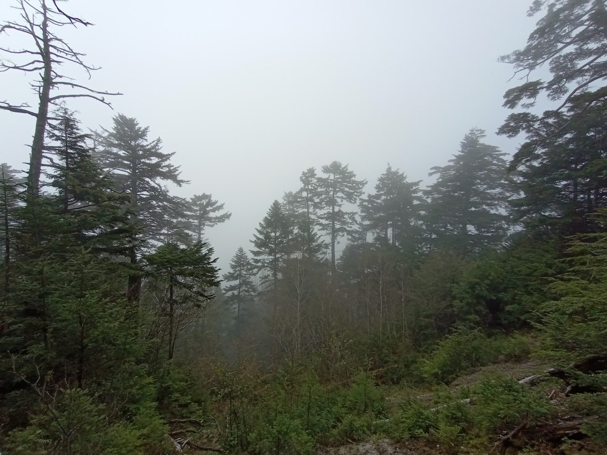 Fast schon eine Aussicht!, Japan
