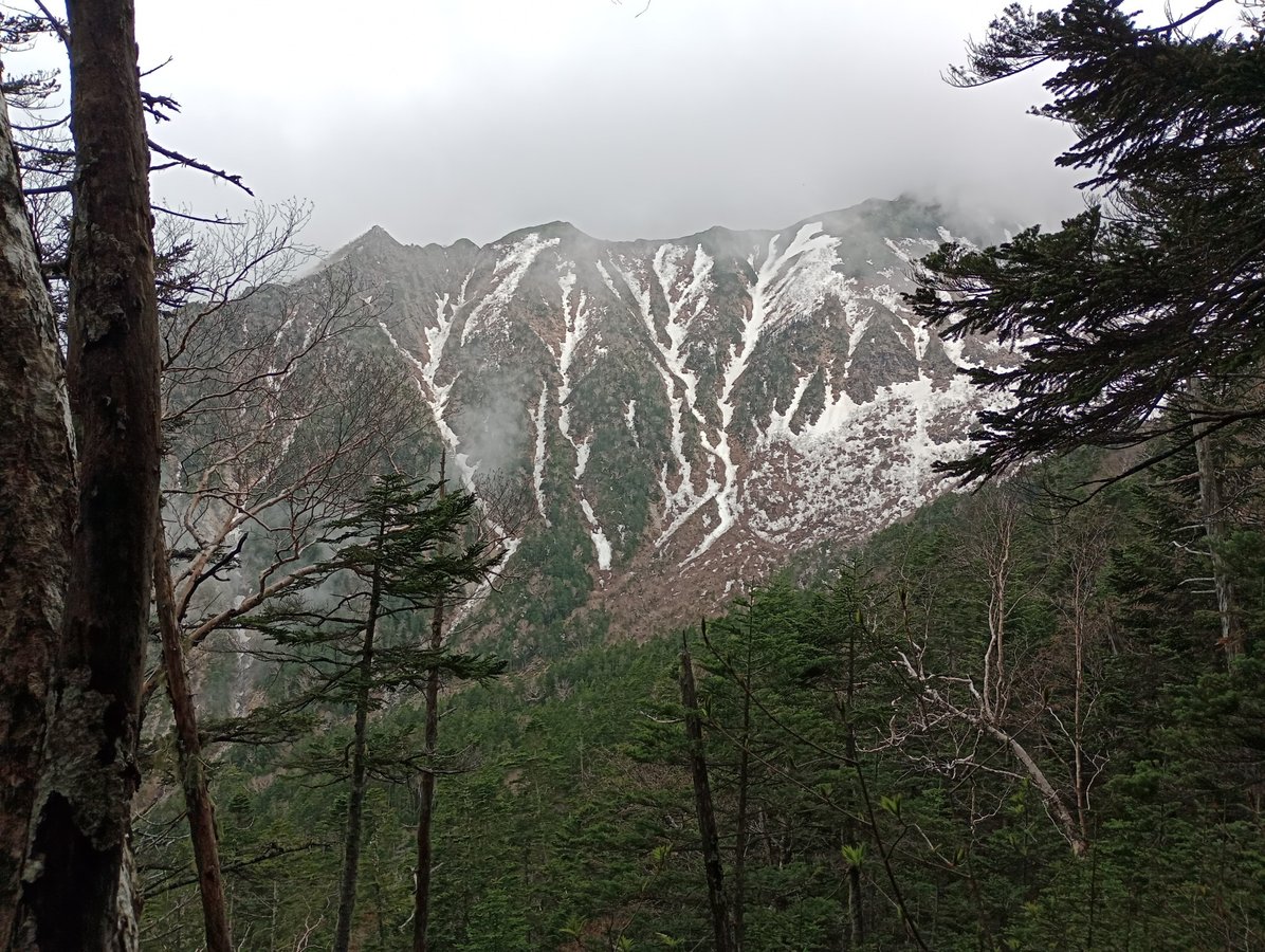 Oh, was für eine Aussicht!, Japan