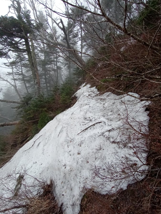 Umkehren, Japan