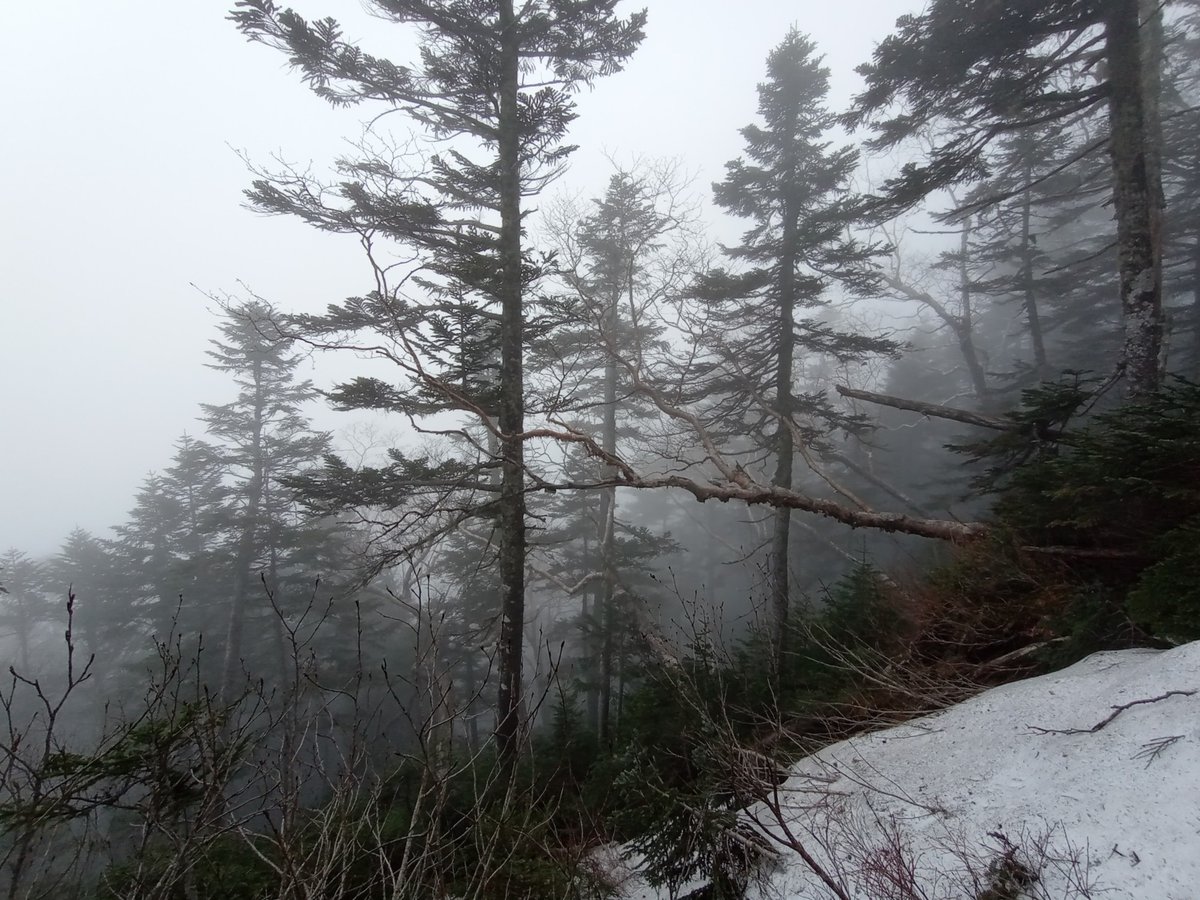 Umkehren, Japan