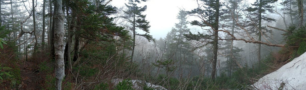 Umkehren, Japan