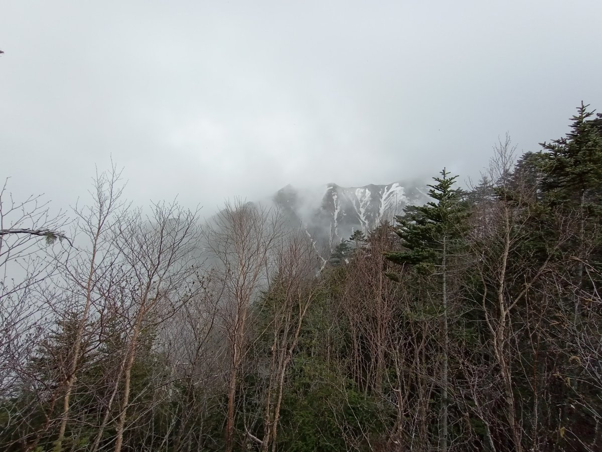 24. Mai 2026 - 14:57 Uhr, Japan