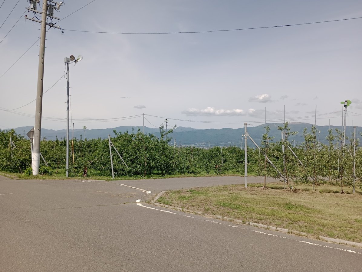 Shiojiri - una terra di viti, Giappone