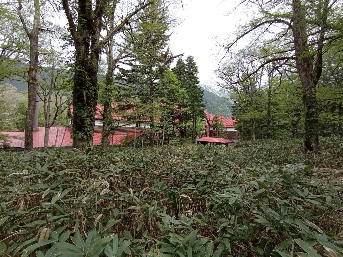 Imperial Hotel, Japan