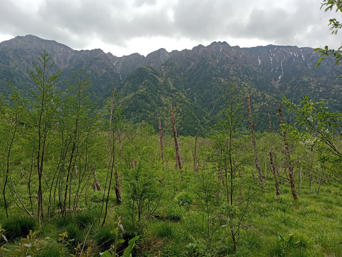 Ansicht von unten, Japan