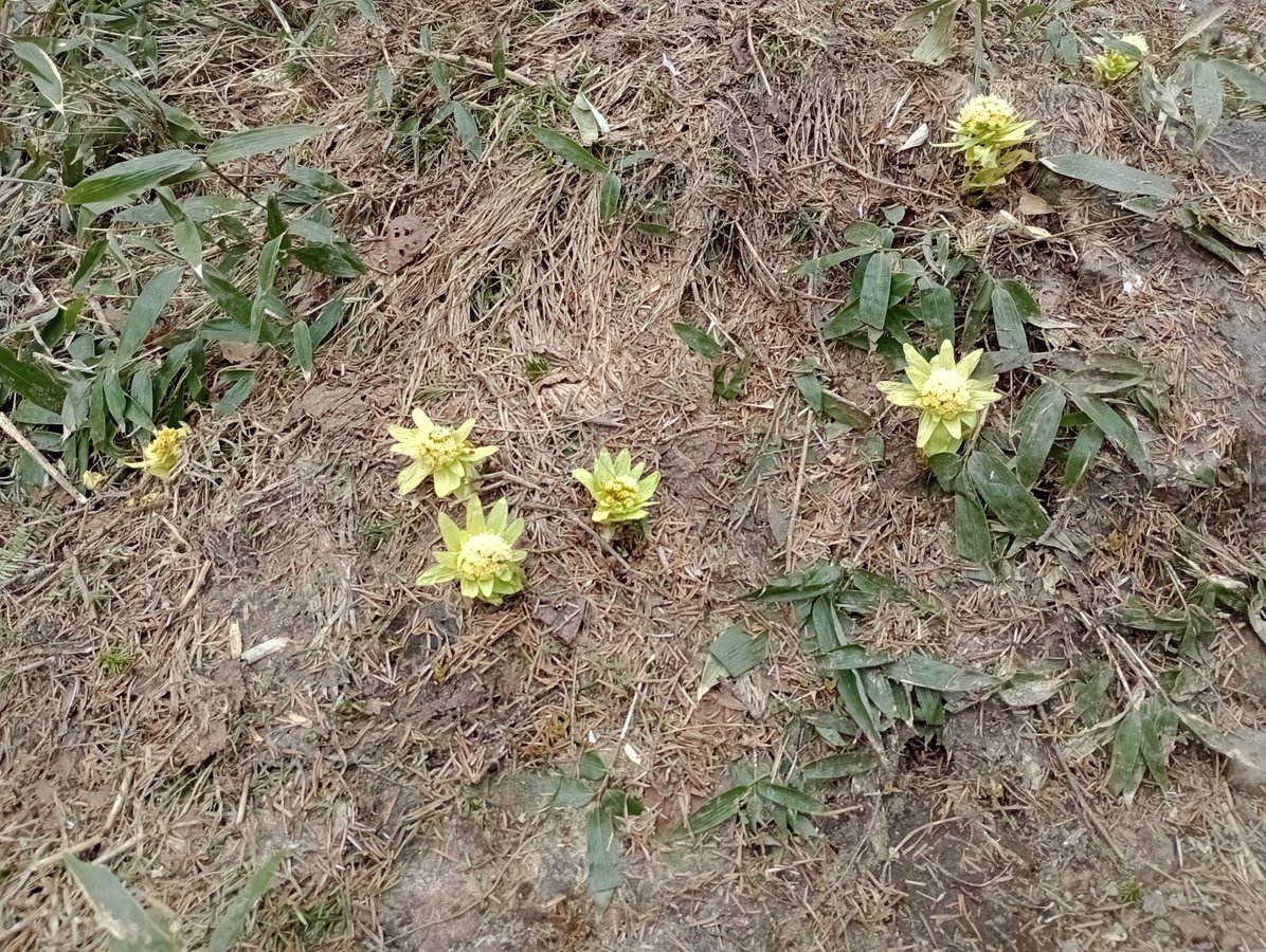 26. Mai 2026 - 11:54 Uhr, Japan