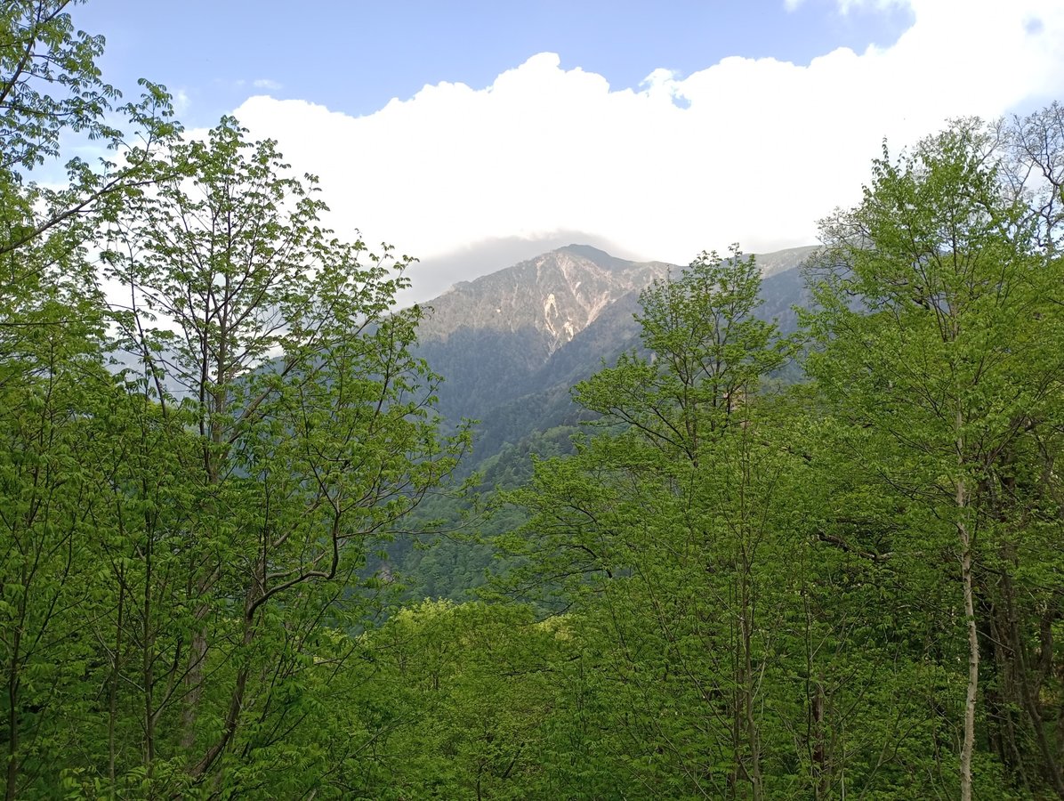 26. Mai 2026 - 15:49 Uhr, Japan
