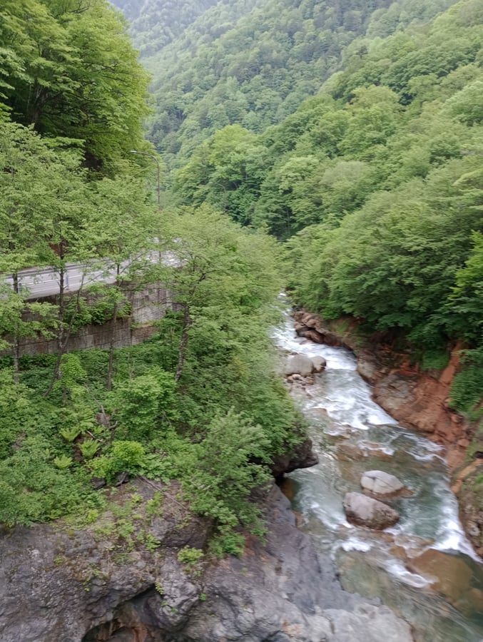 26. Mai 2026 - 16:41 Uhr, Japan