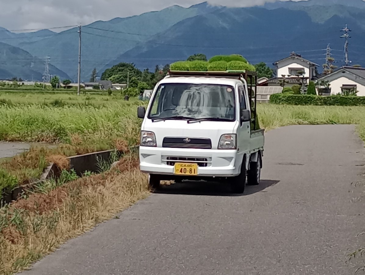 Siembra de arroz, Japón
