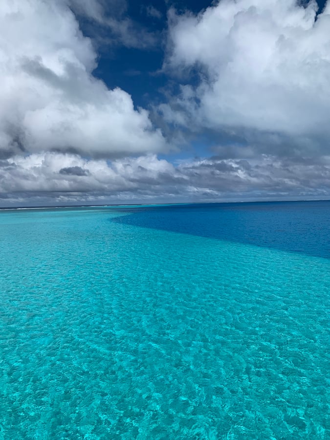 Beveridge Reef