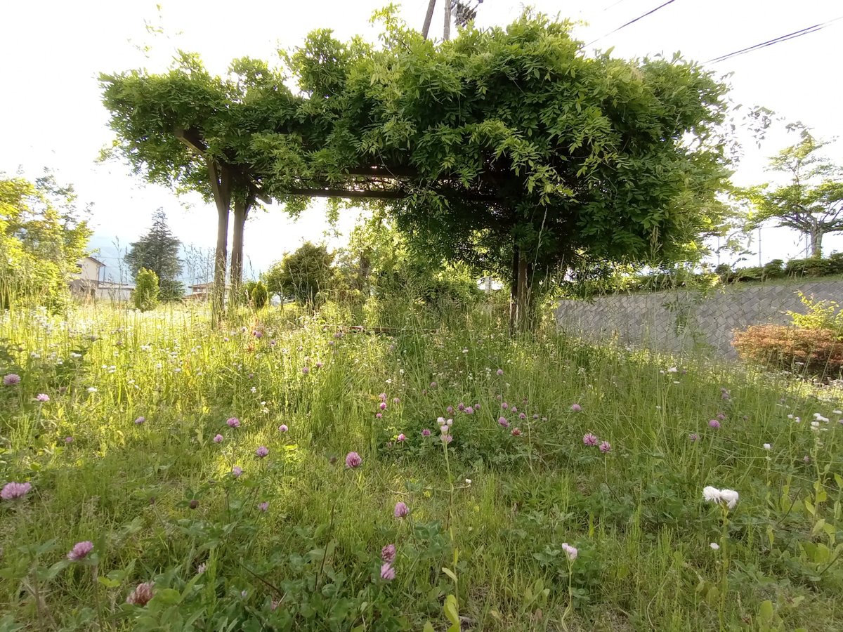 31 May 2026 - 17:00, Japan