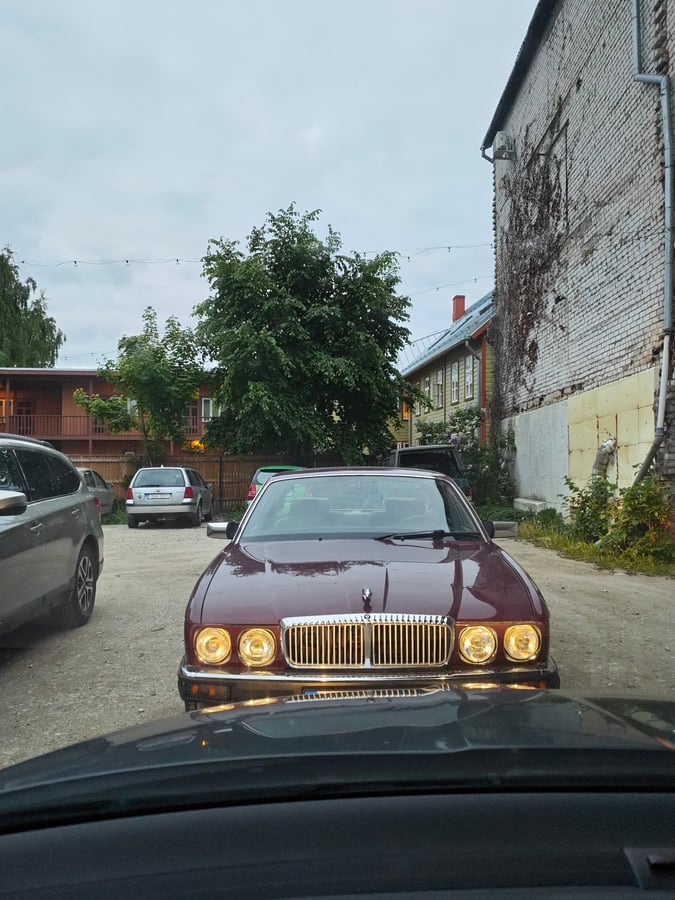 Spotted nice jaguar, Estland