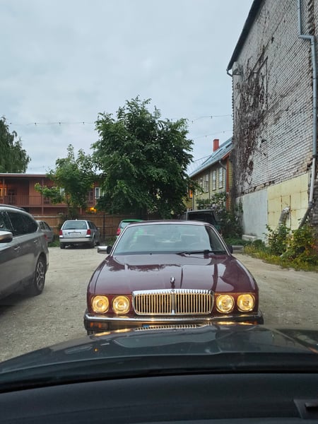 Spotted nice jaguar, Estland