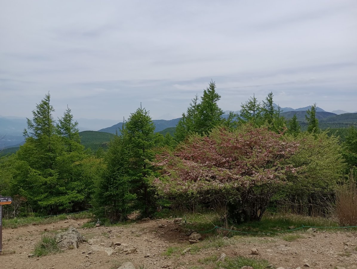 Desde la cima, Japón