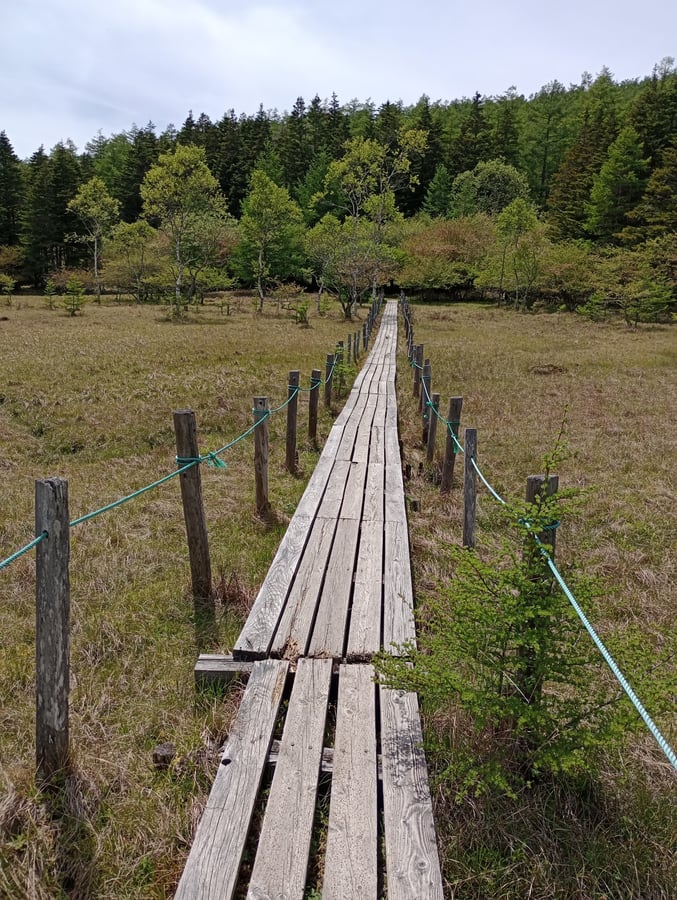 Otro paseo marítimo sobre el pantano, Japón