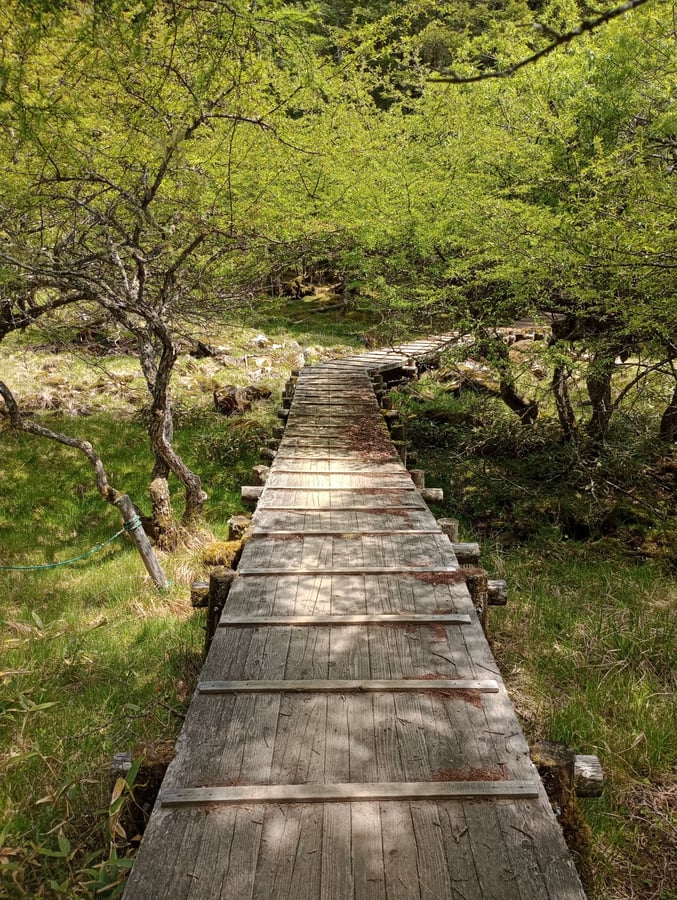 Otro paseo marítimo sobre el pantano, Japón