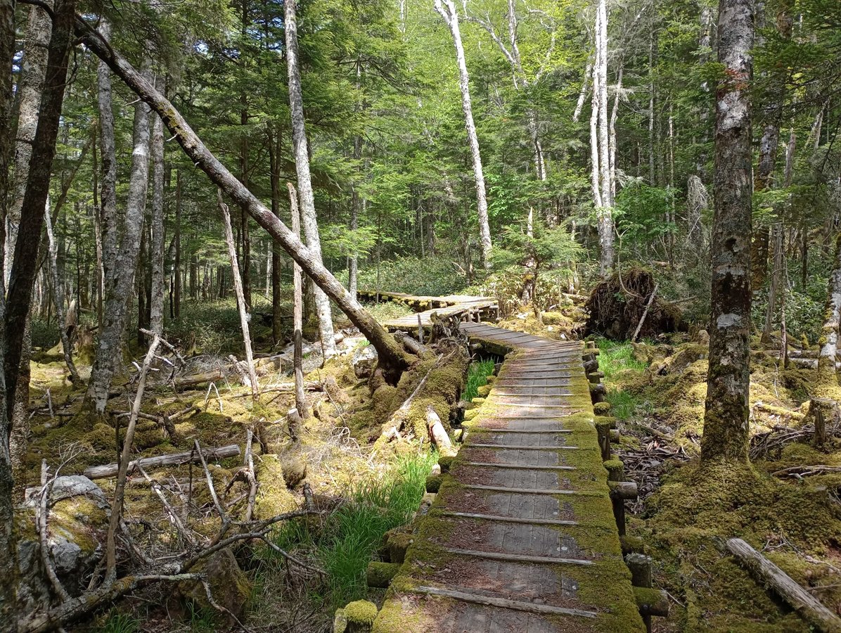 Otro paseo marítimo sobre el pantano, Japón