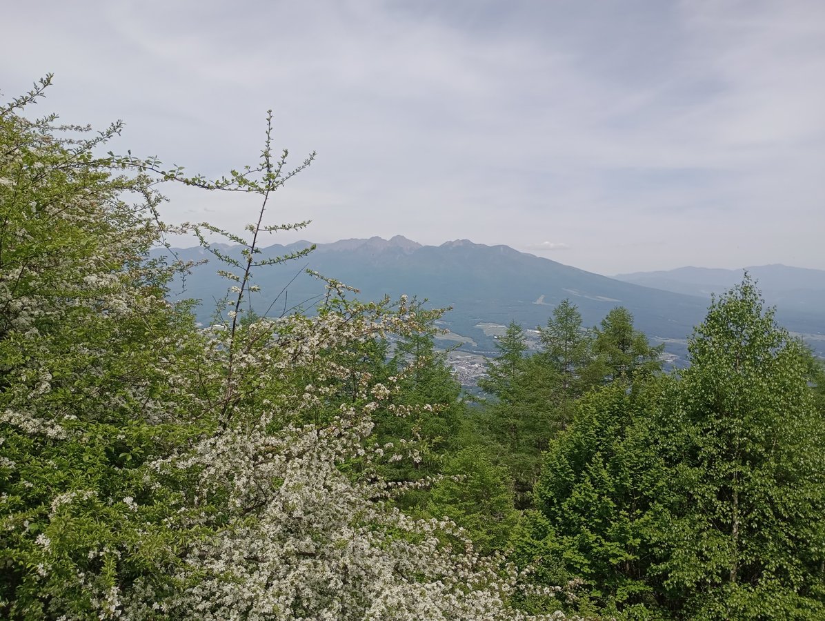 1 de junio de 2026 - 13:54, Japón