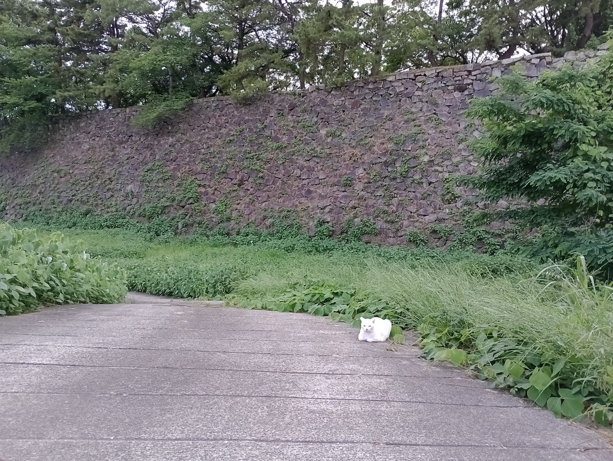 Burg von Nagoya, Japan