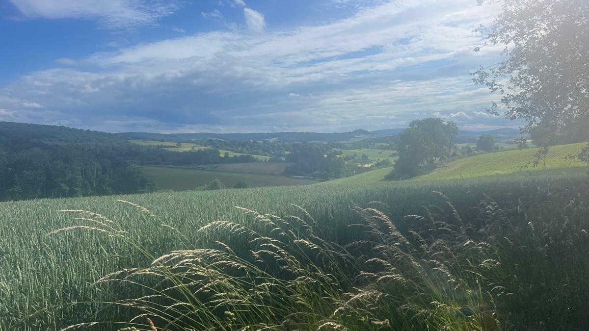 Writing report Day 4, Germany